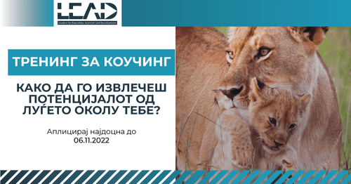 blog-image